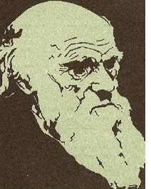 Ein Portrait von Darwin